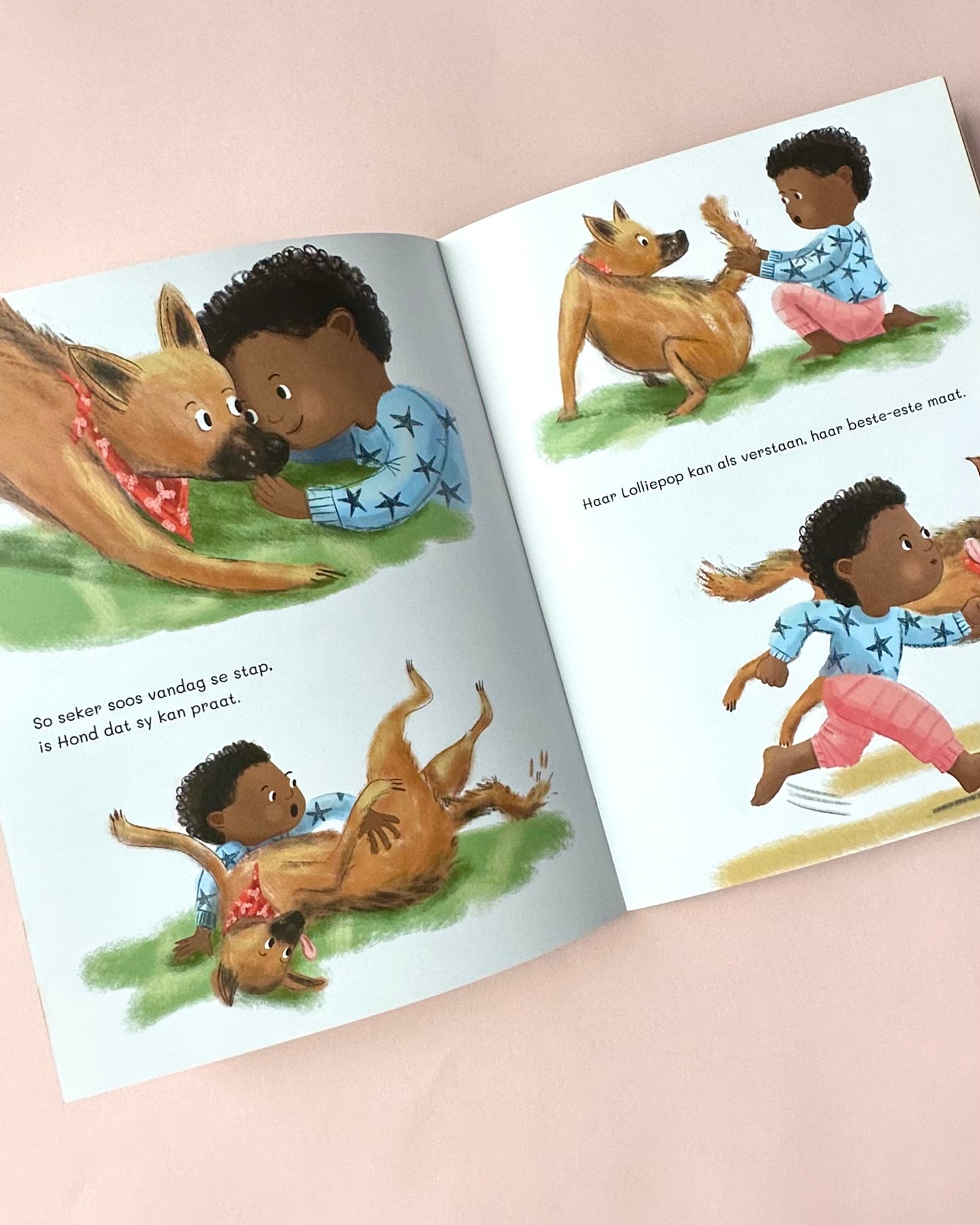 Die Hond Met Die Stert Sonder Swaai (Afrikaans)